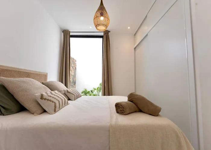 Lima By Aura Collection * La Oliva